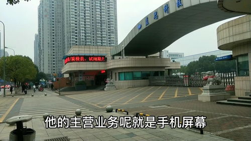 湖南長沙縣工業園區產業生態的縮影——以百墩實業為例